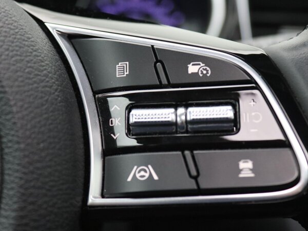 cruise control adaptief met Stop&Go en stuurhulp