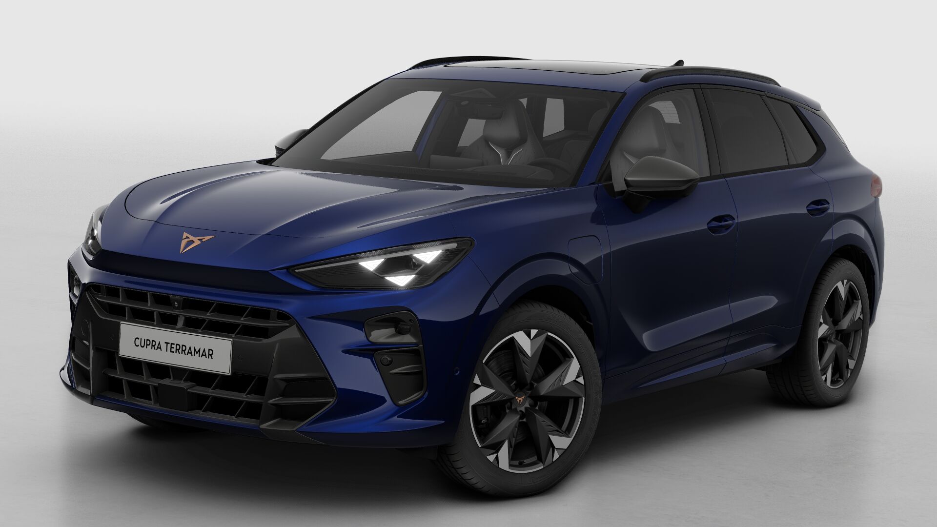 CUPRA Terramar Business - Afbeelding 2