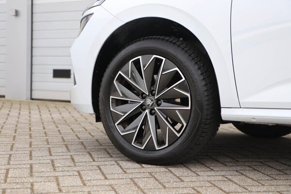 lichtmetalen velgen 10-spaaks 17"