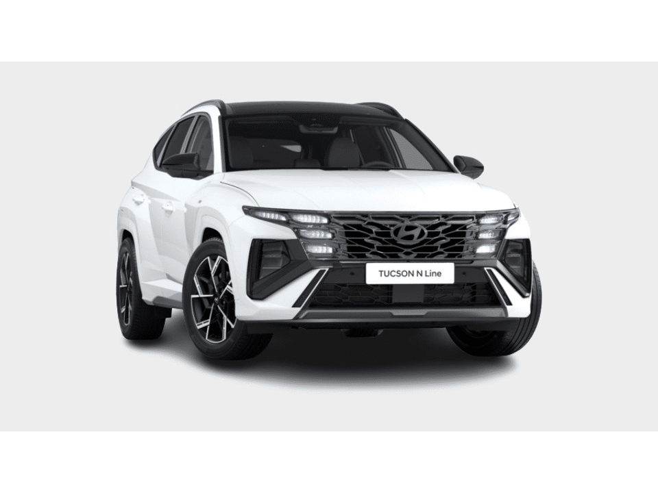 Hyundai Tucson 1.6 T-GDI PHEV N Line Business Sky Automaat - Afbeelding 1