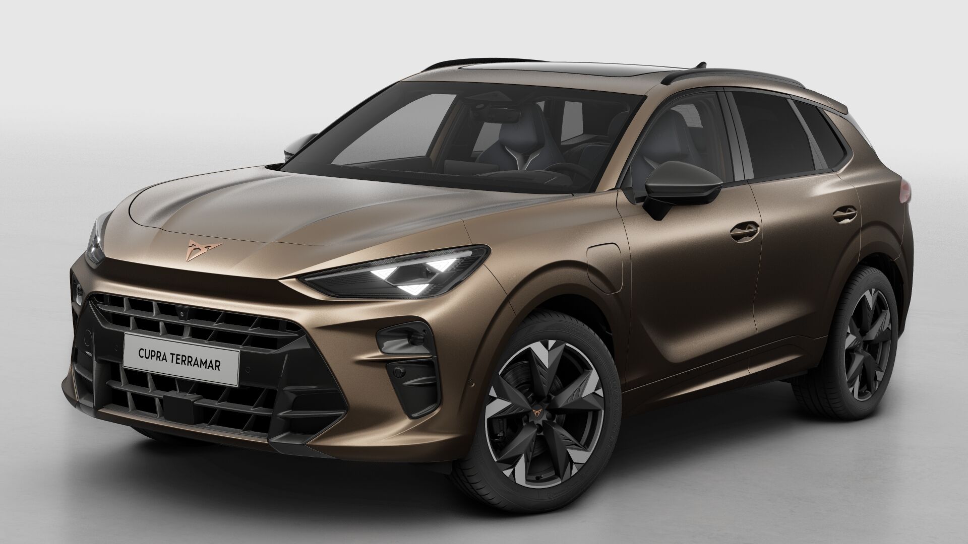 CUPRA Terramar Business - Afbeelding 2