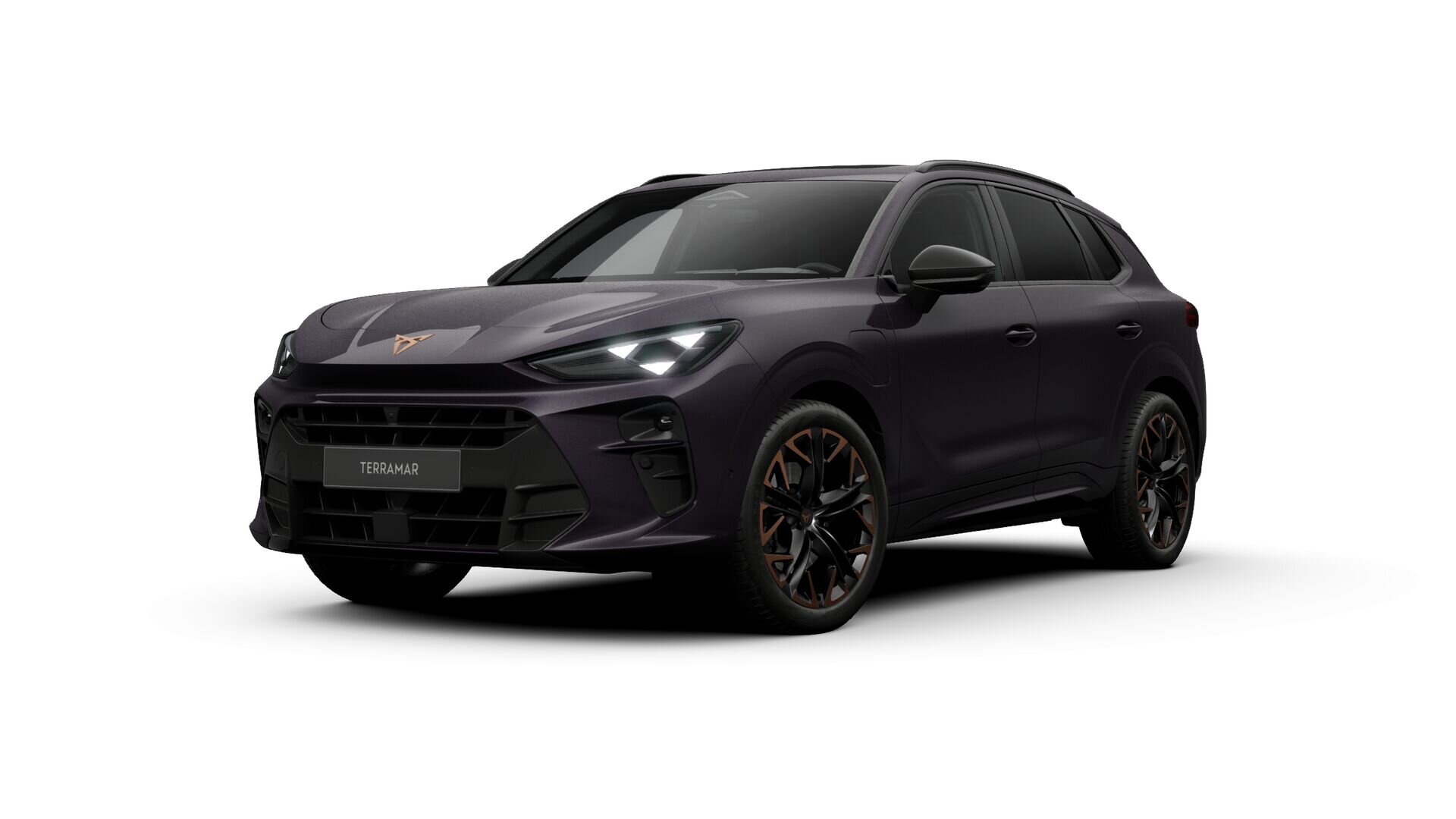 CUPRA Terramar Business