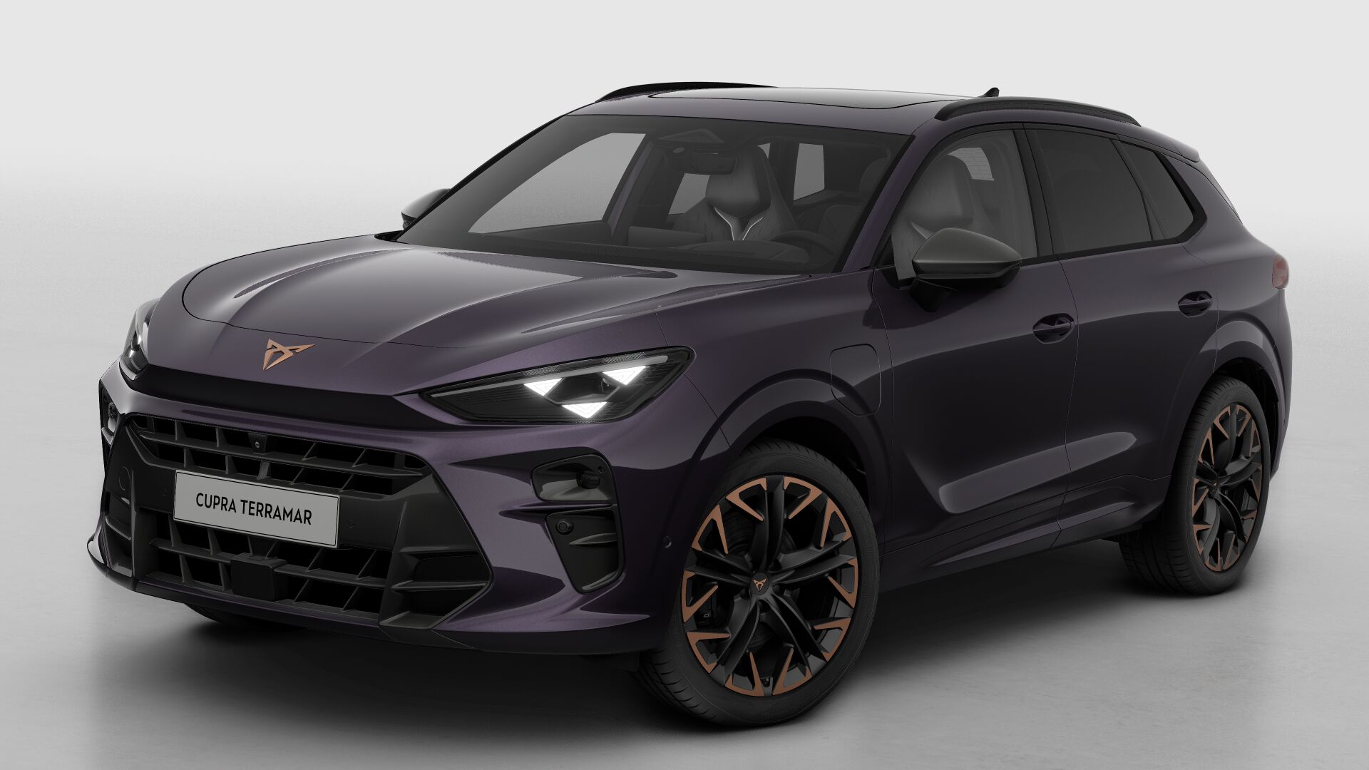 CUPRA Terramar Business - Afbeelding 2