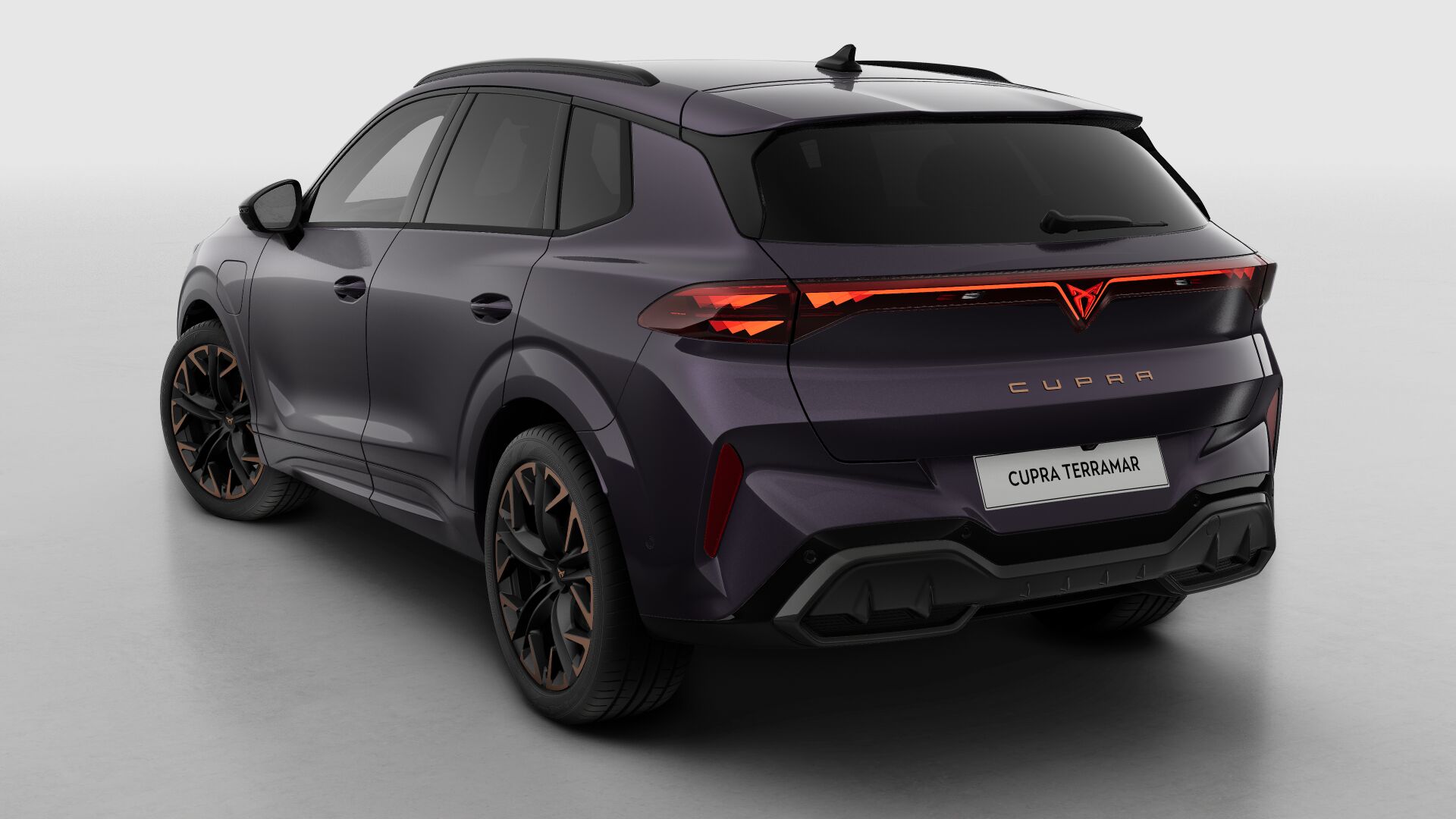 CUPRA Terramar Business - Afbeelding 4