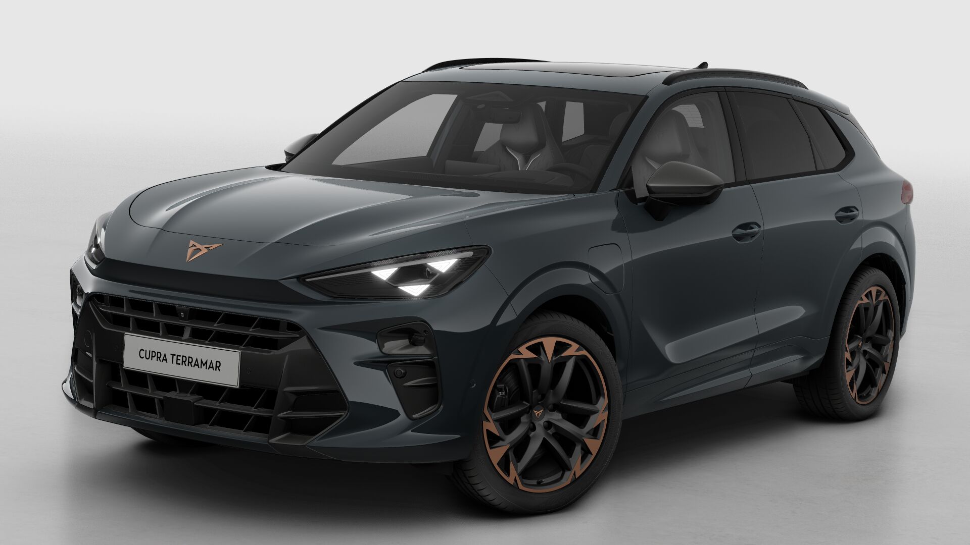 CUPRA Terramar Business - Afbeelding 2