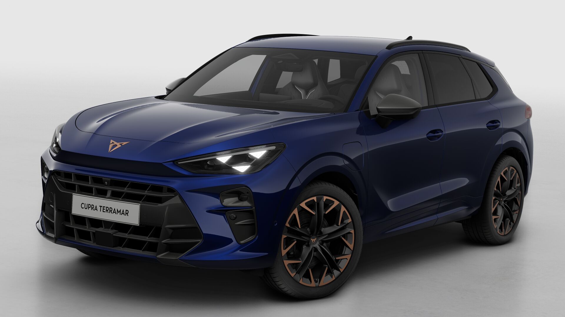 CUPRA Terramar Business - Afbeelding 2