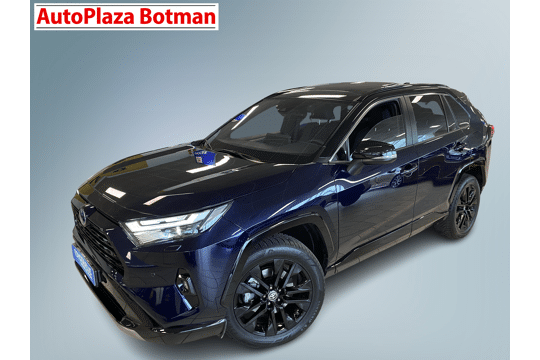 Toyota RAV4 2.5 Hybrid AWD Style