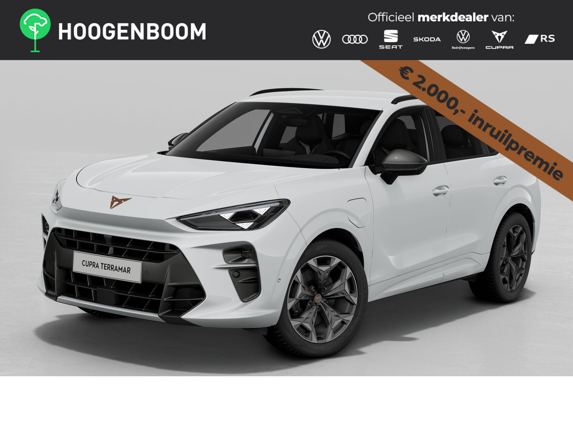 CUPRA Terramar Business