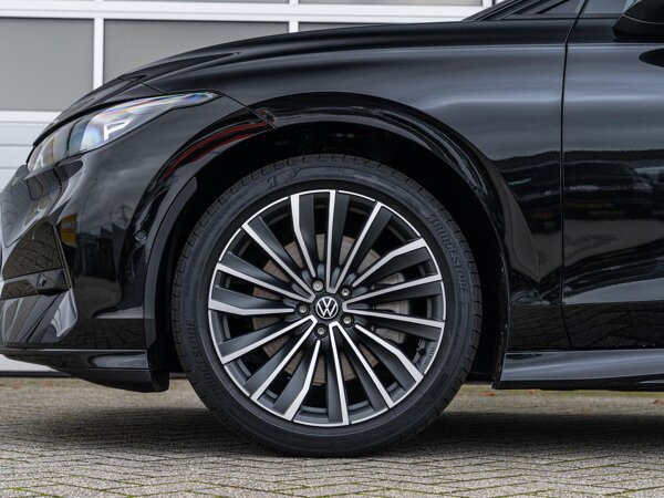 lichtmetalen velgen veel-spaaks 20"