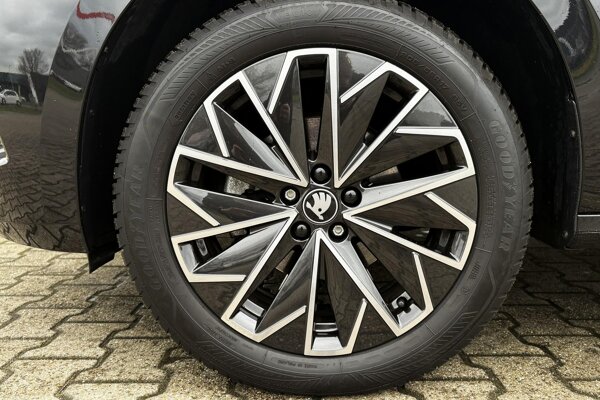 lichtmetalen velgen 10-spaaks 17"