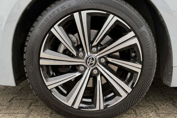 lichtmetalen velgen 17"