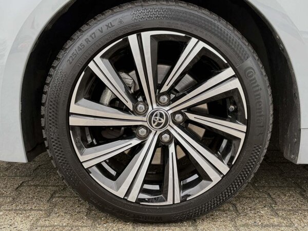 lichtmetalen velgen 17"