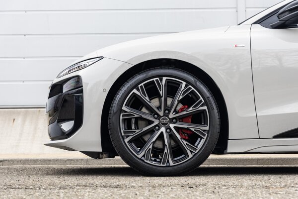 lichtmetalen velgen multi-spaaks 21"