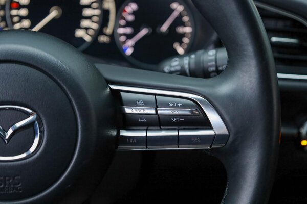 cruise control adaptief