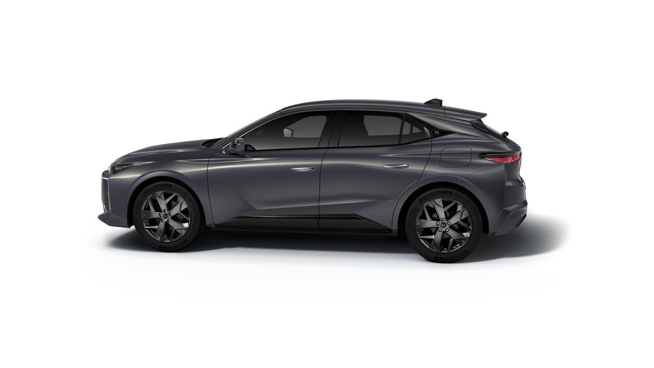 DS N°4 Pallas - Afbeelding 2