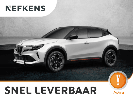 Alfa Romeo Junior Elettrica Speciale