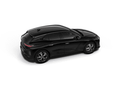 DS N°4 Pallas - Afbeelding 4