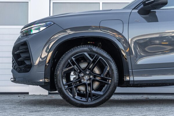 lichtmetalen velgen multi-spaaks 20"