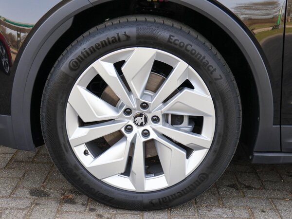 lichtmetalen velgen 10-spaaks 20"