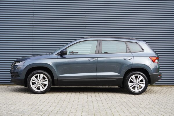 lichtmetalen velgen 17"