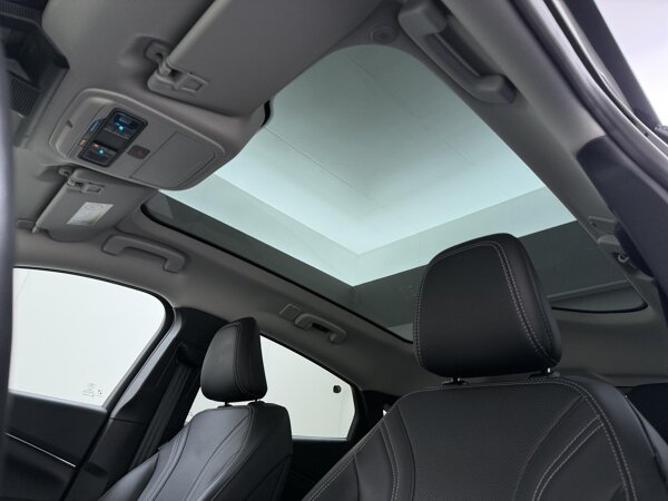 Panorama dak (vast) en warmtewerende voorruit