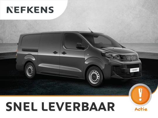 Peugeot Expert Standaard - Elektrisch