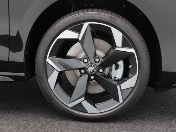 lichtmetalen velgen 5-spaaks 19"