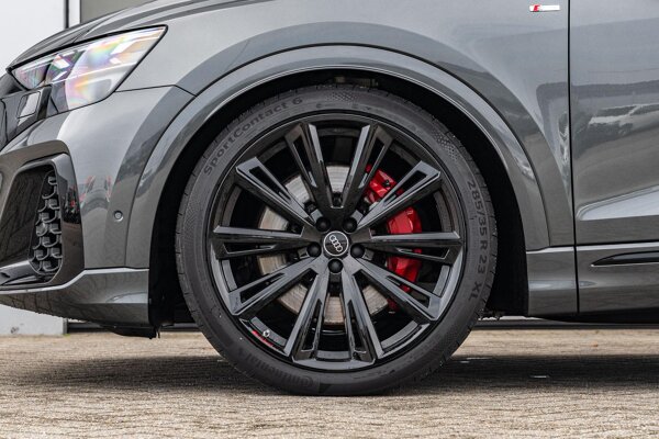 lichtmetalen velgen multi-spaaks 23"