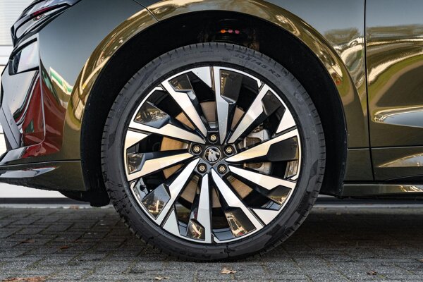 lichtmetalen velgen 21"