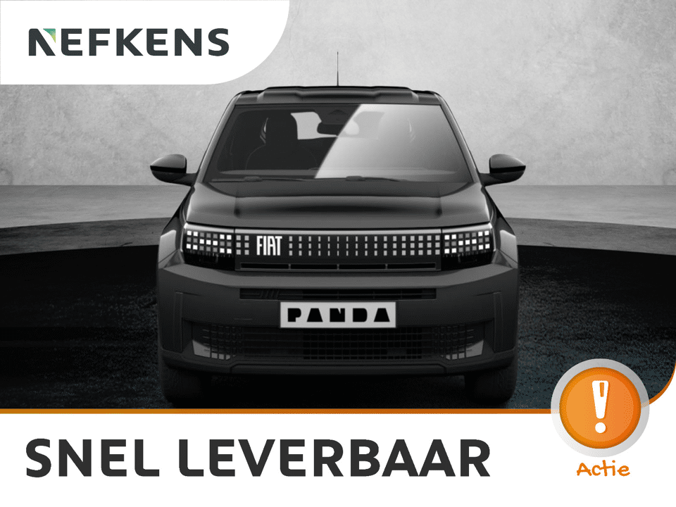 Fiat Grande Panda Icon - Afbeelding 1