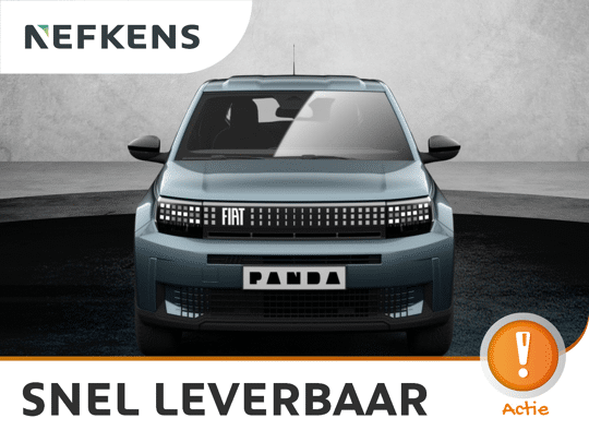 Fiat Grande Panda Icon