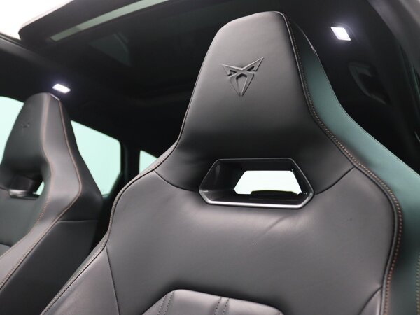 Lederen Bekleding Lederen Bekleding