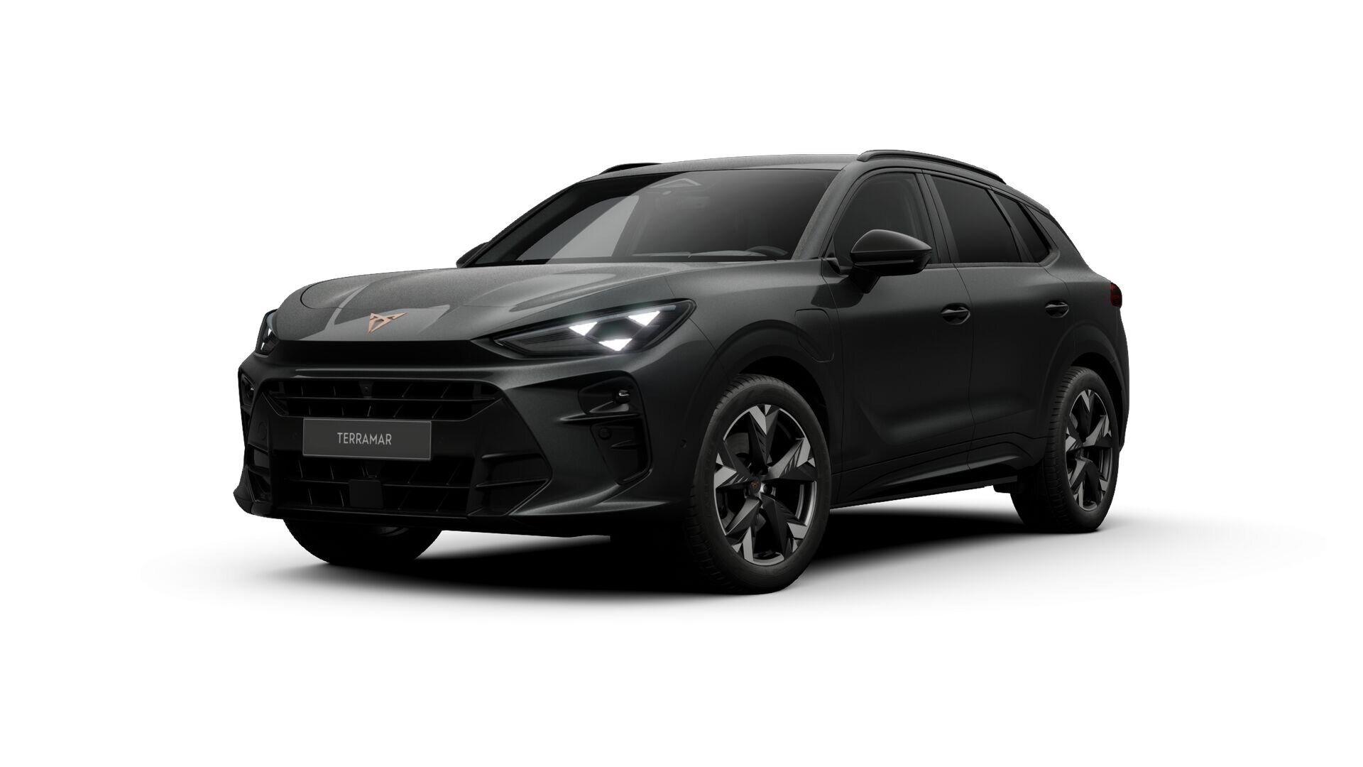 CUPRA Terramar Business