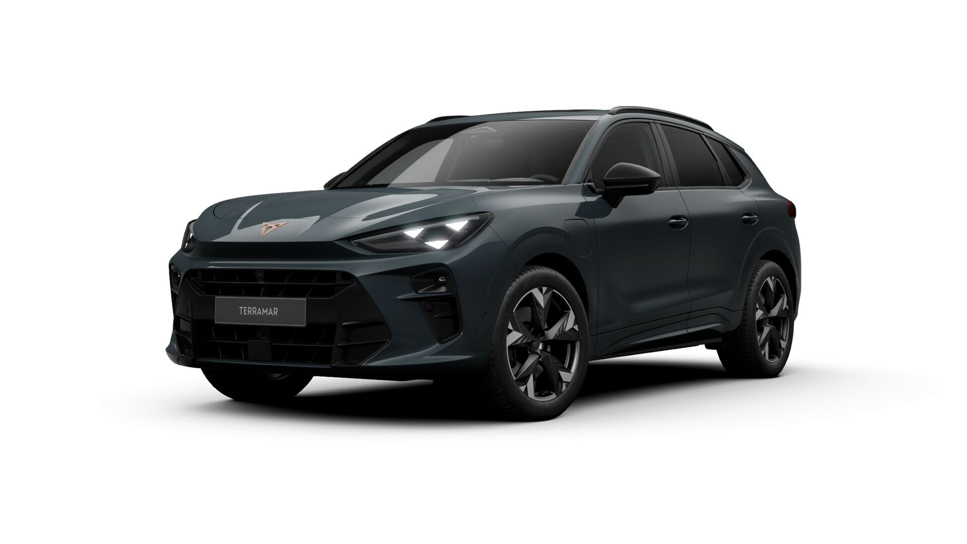 CUPRA Terramar Business