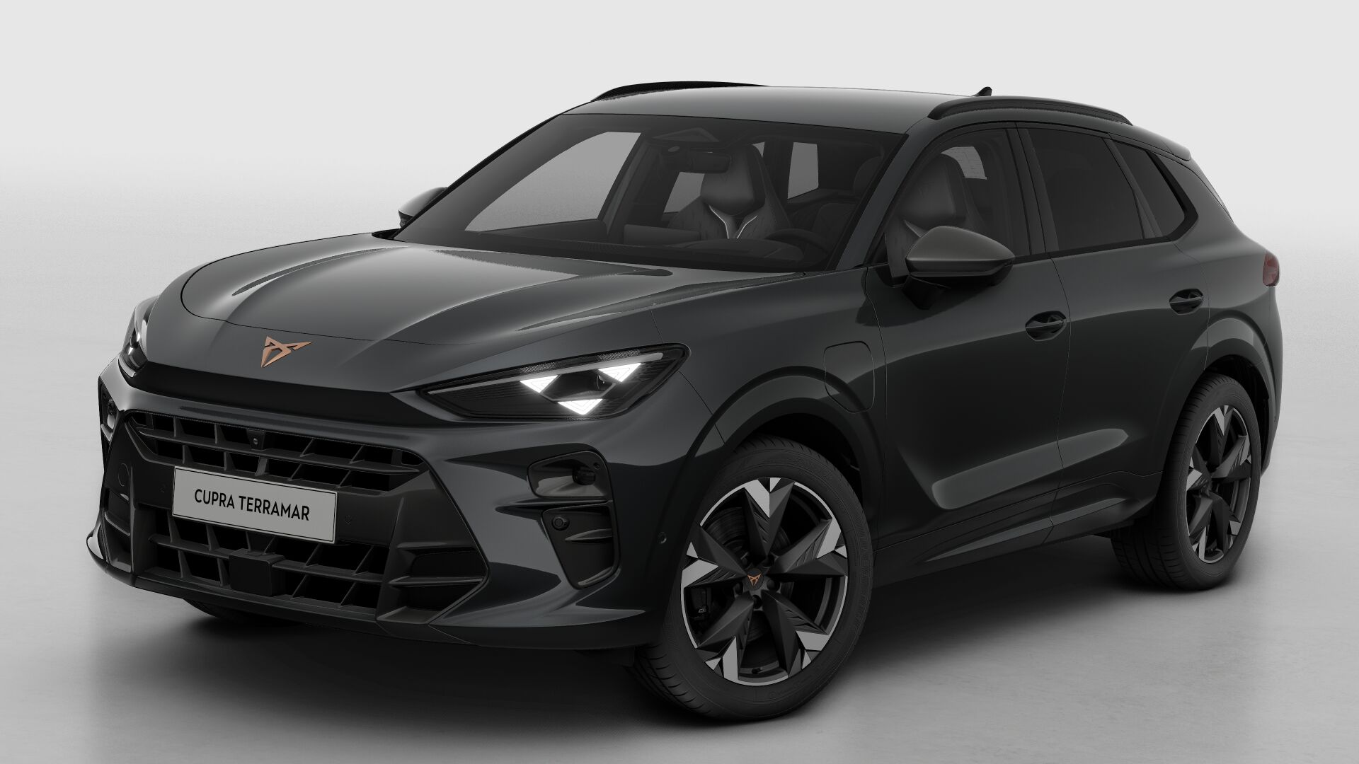 CUPRA Terramar Business - Afbeelding 2