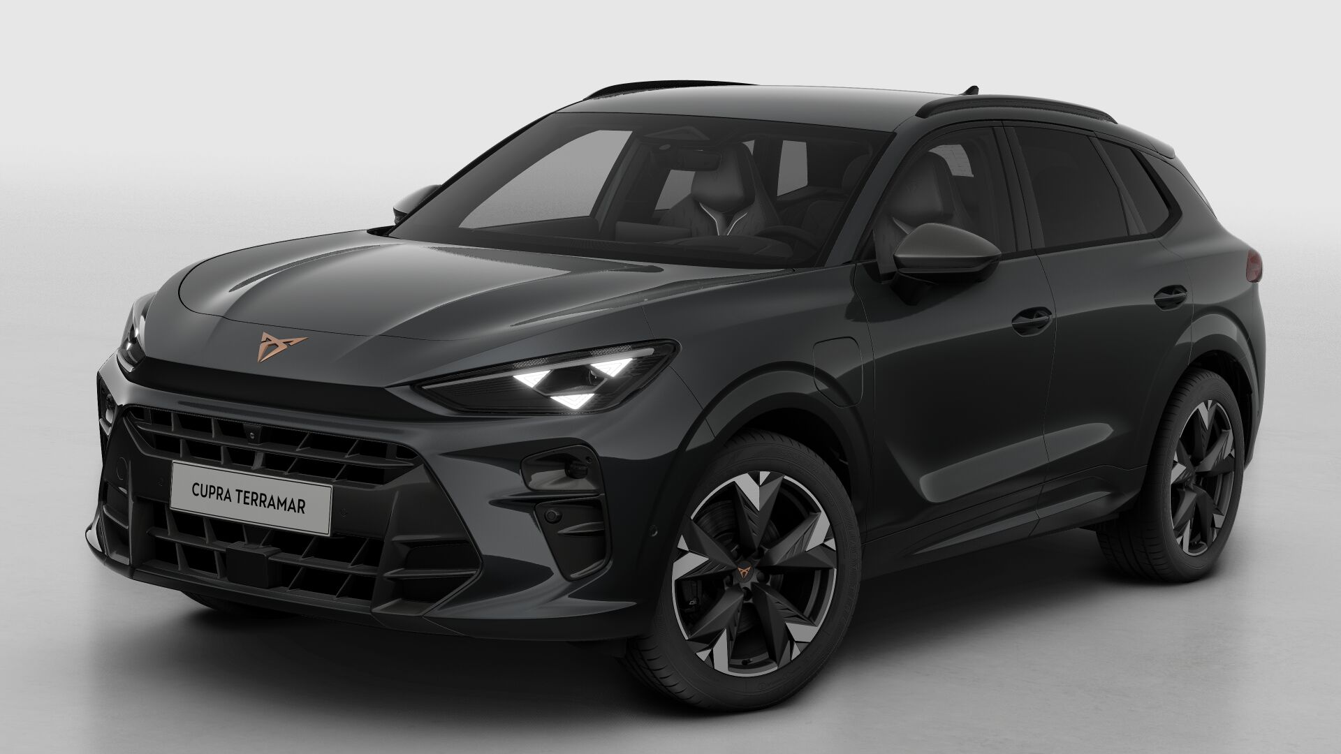 CUPRA Terramar Business - Afbeelding 2