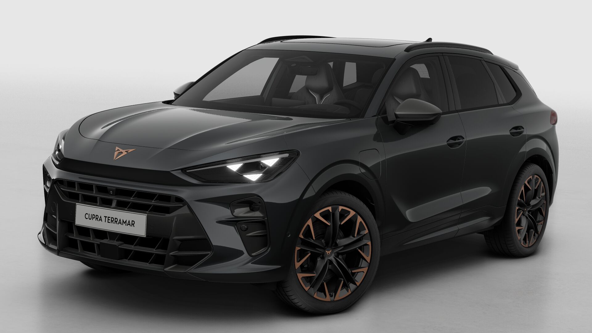 CUPRA Terramar Business - Afbeelding 2