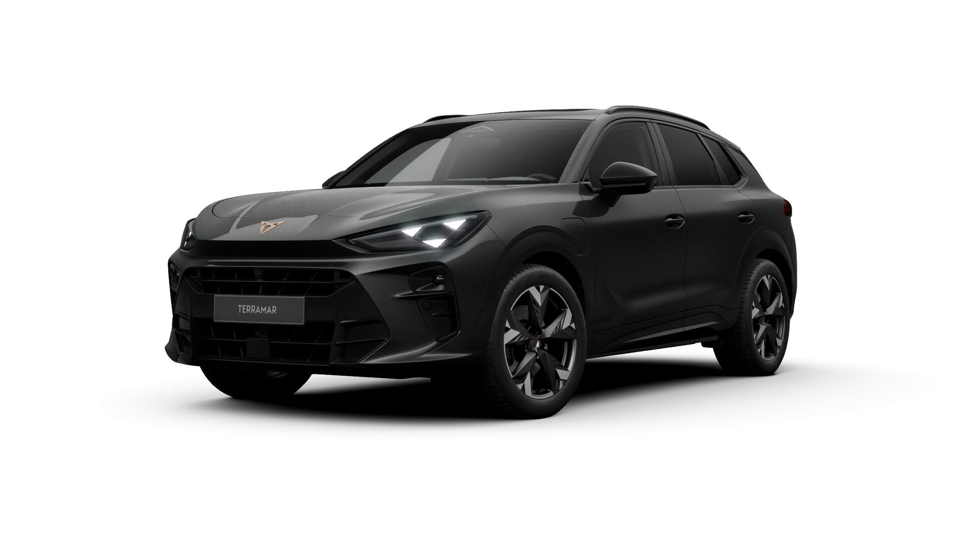 CUPRA Terramar Business