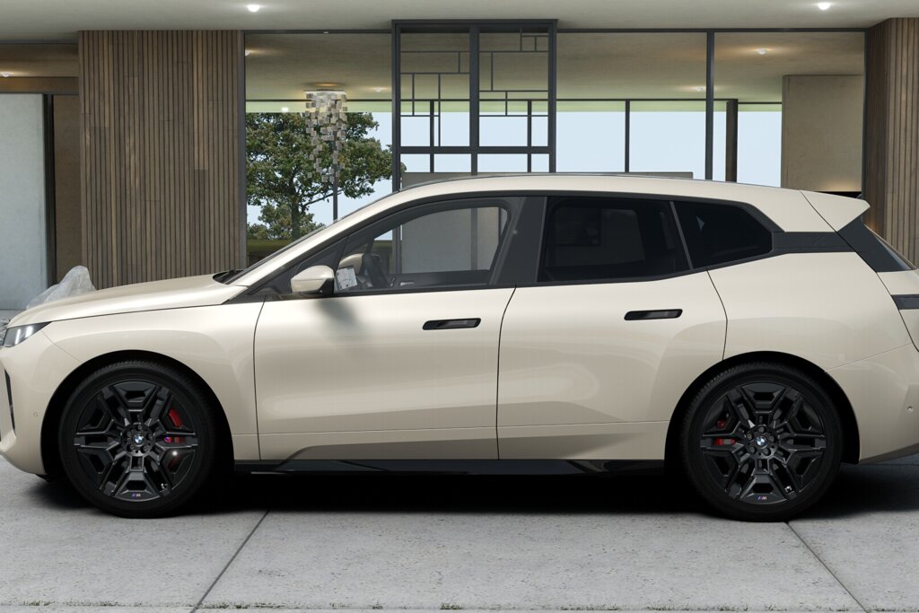 BMW iX 5