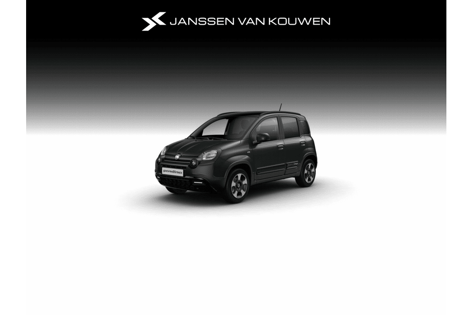 Fiat Pandina Cross - Afbeelding 1