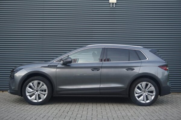 lichtmetalen velgen 10-spaaks 20"