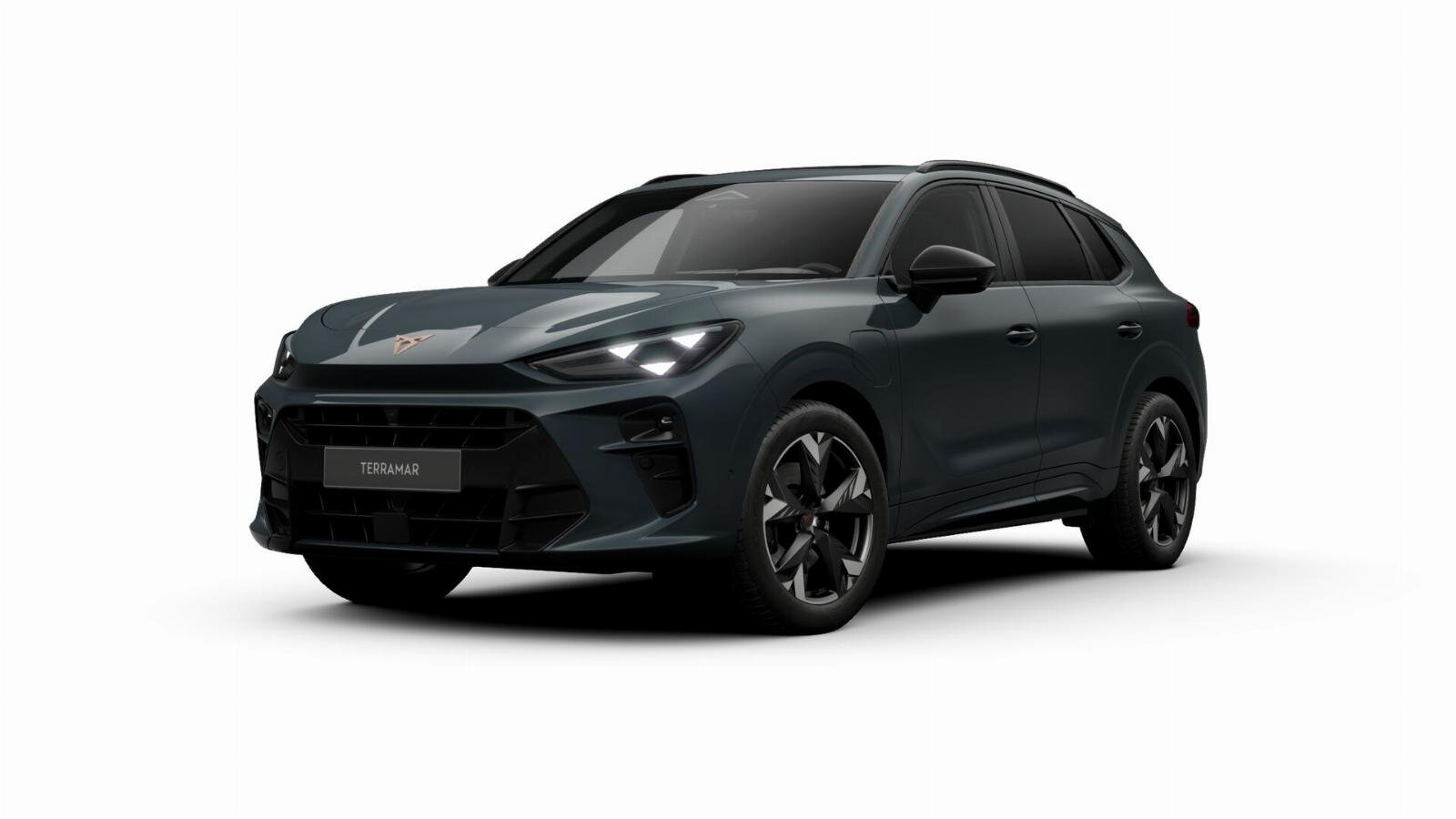 CUPRA Terramar Business