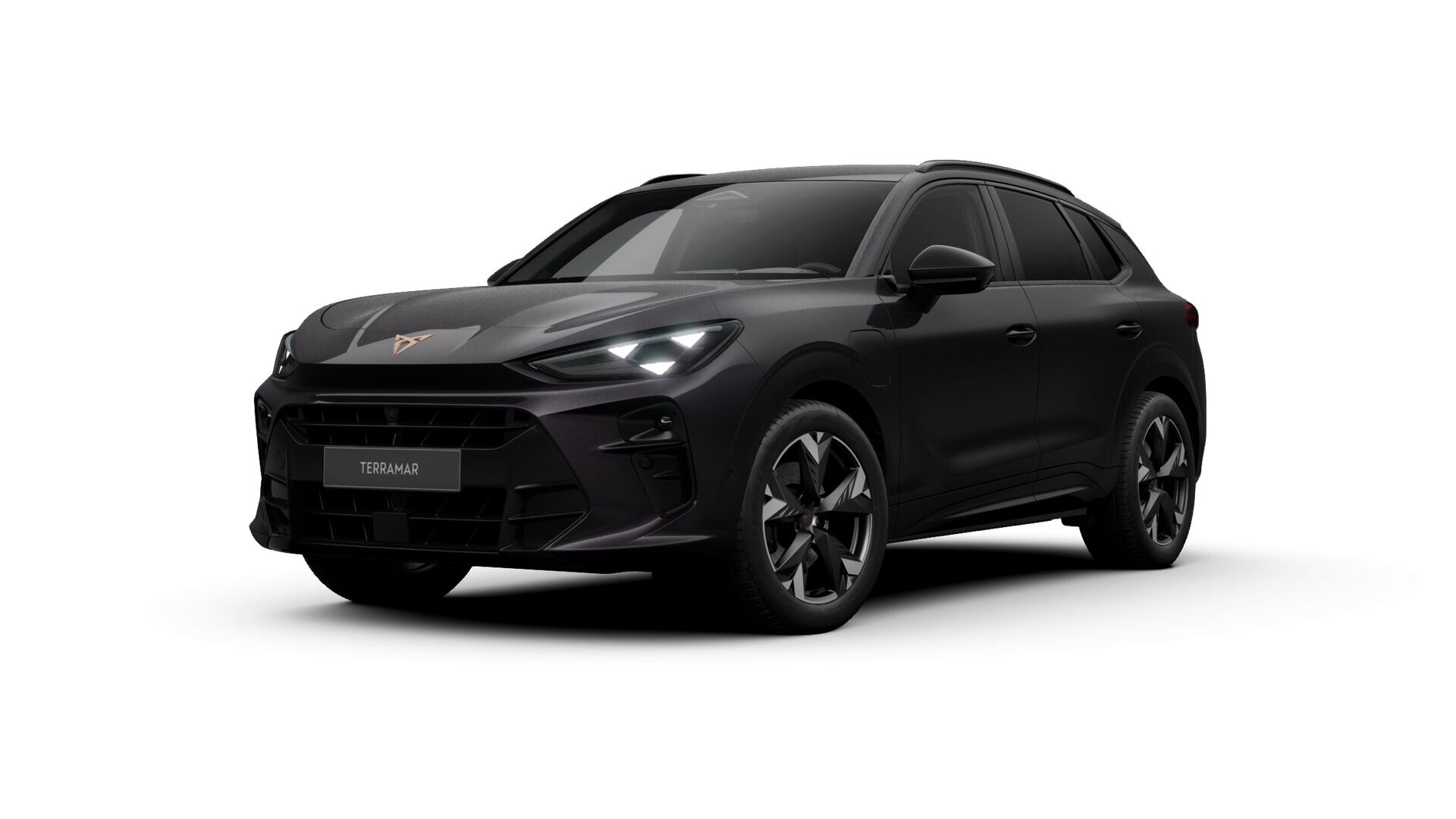 CUPRA Terramar Business