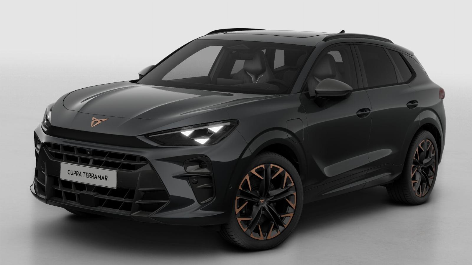 CUPRA Terramar Business - Afbeelding 2