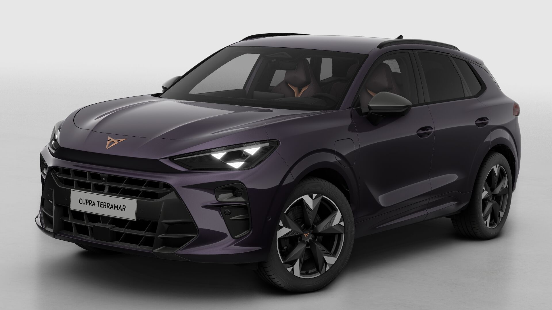 CUPRA Terramar Business - Afbeelding 2