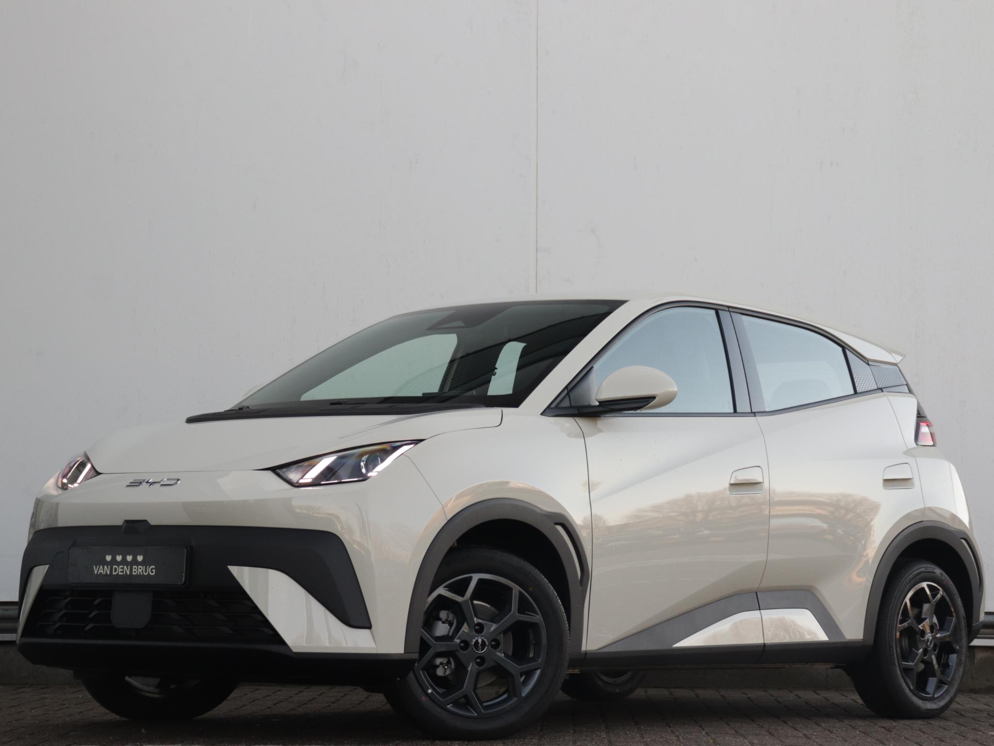 BYD DOLPHIN SURF Boost 43 kWh