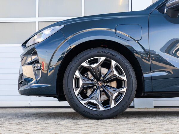 lichtmetalen velgen 19"