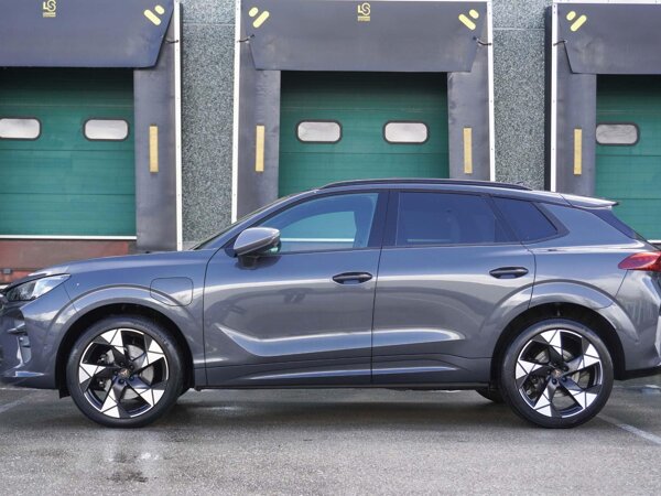 lichtmetalen velgen 19" lichtmetalen velgen 19"