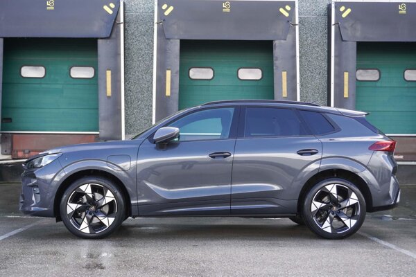 lichtmetalen velgen 19" lichtmetalen velgen 19"