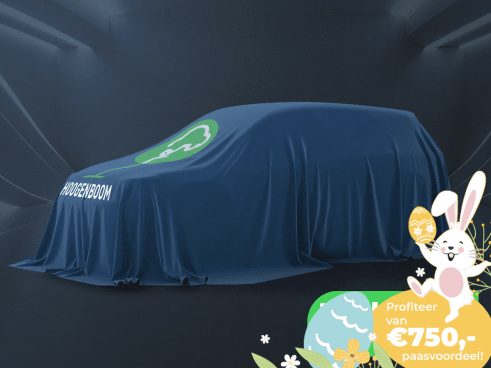 Skoda Fabia 1.0 TSI Business Edition - Afbeelding 1